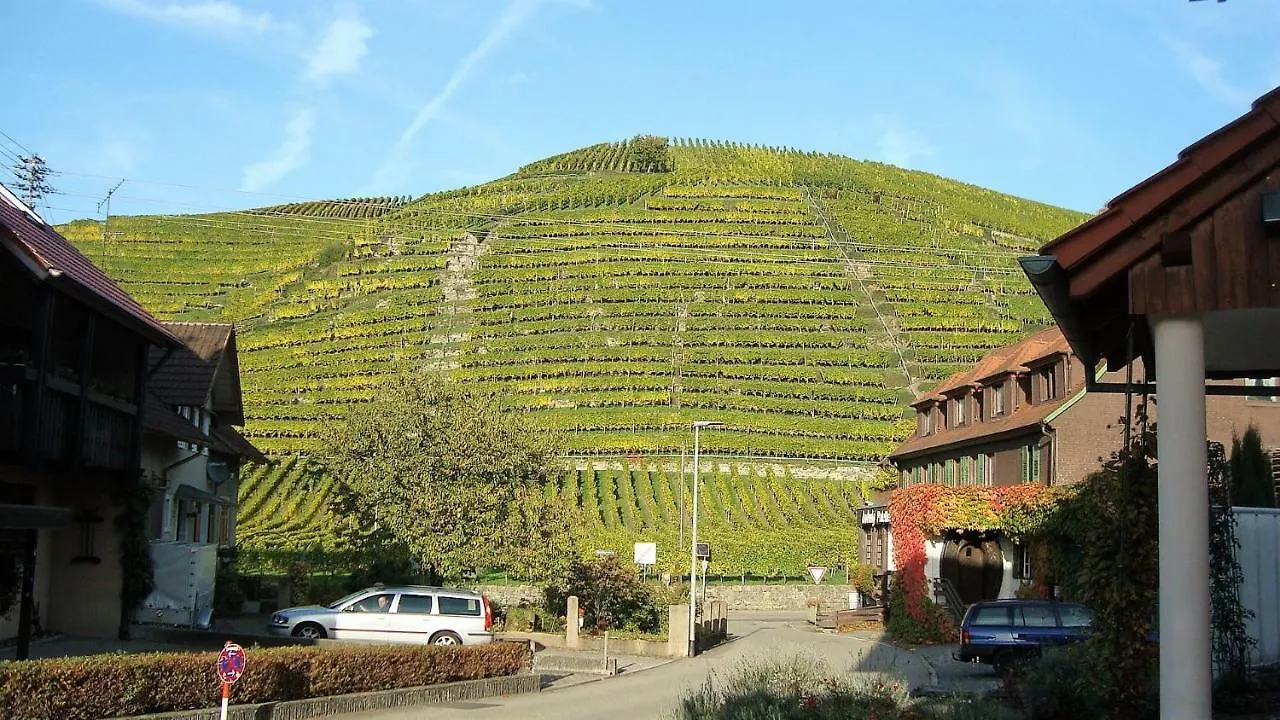 Hotel Altenberg Baden-Baden
